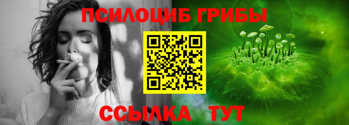 Галлюциногенные грибы мухоморы Зеленодольск